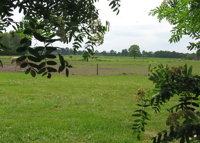 De Zandkant