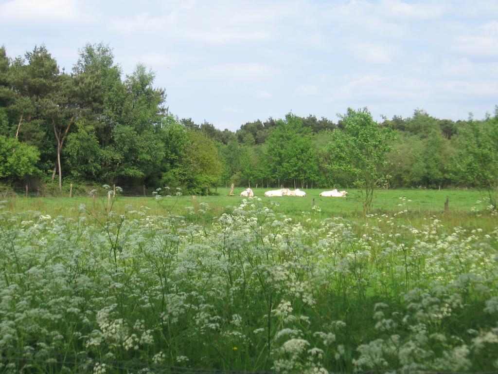 De Zandkant