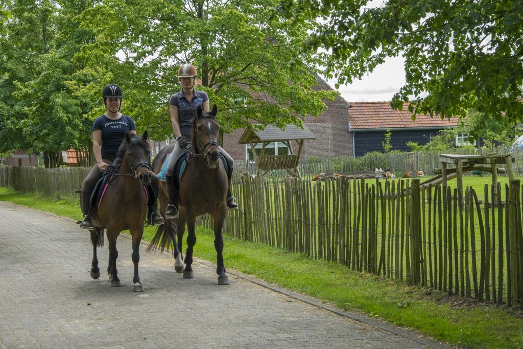 De Zandkant